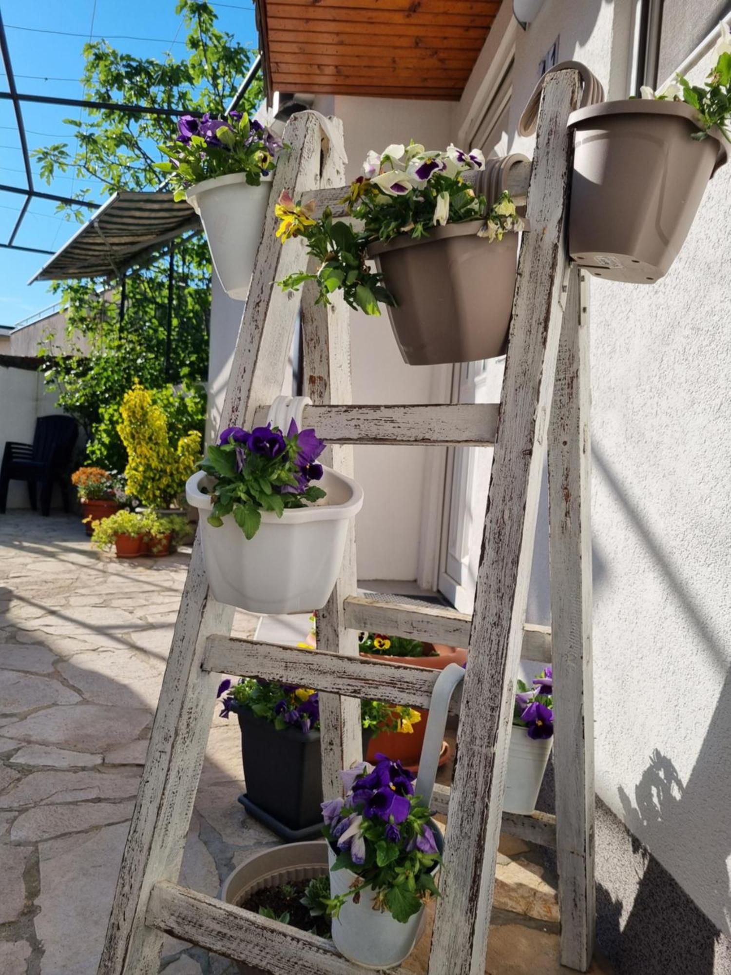 Apartments Deni Mostar Exterior photo